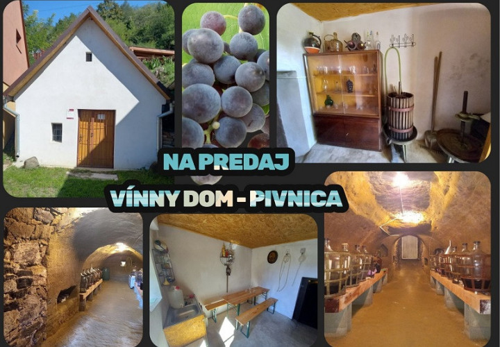 NA PREDAJ vínny dom FIĽAKOVO okres Lučenec